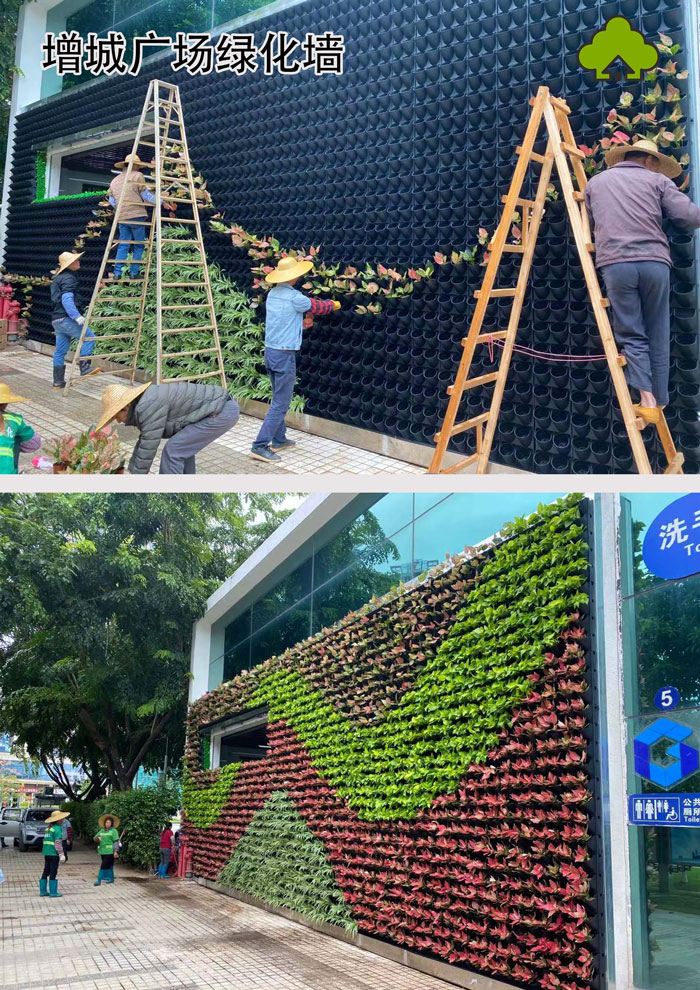 增城廣場綠化牆